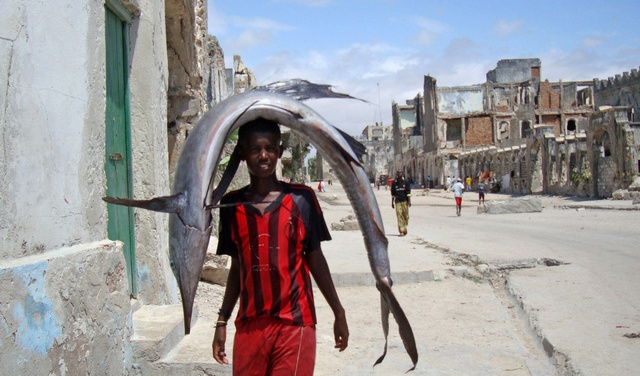 A boy carries sailfish in Djibouti