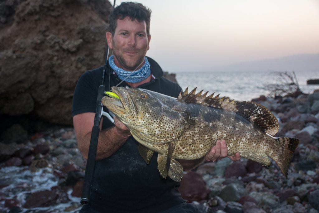 Fishing in Djibouti - Grouper